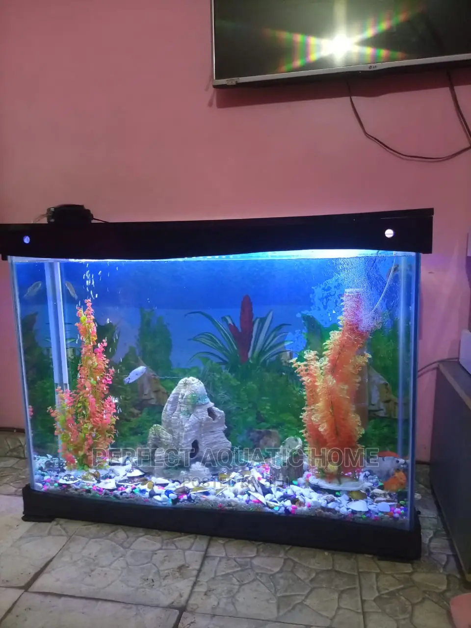 Aquarium With Amazing Decor