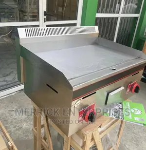 Commercial Gas Grilled