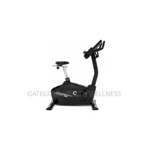 SOLE Fitness B54 Upright Cycle