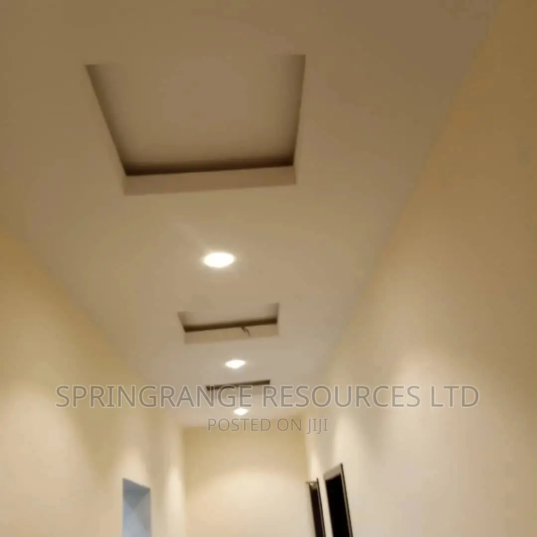 Professional POP Ceiling Installer