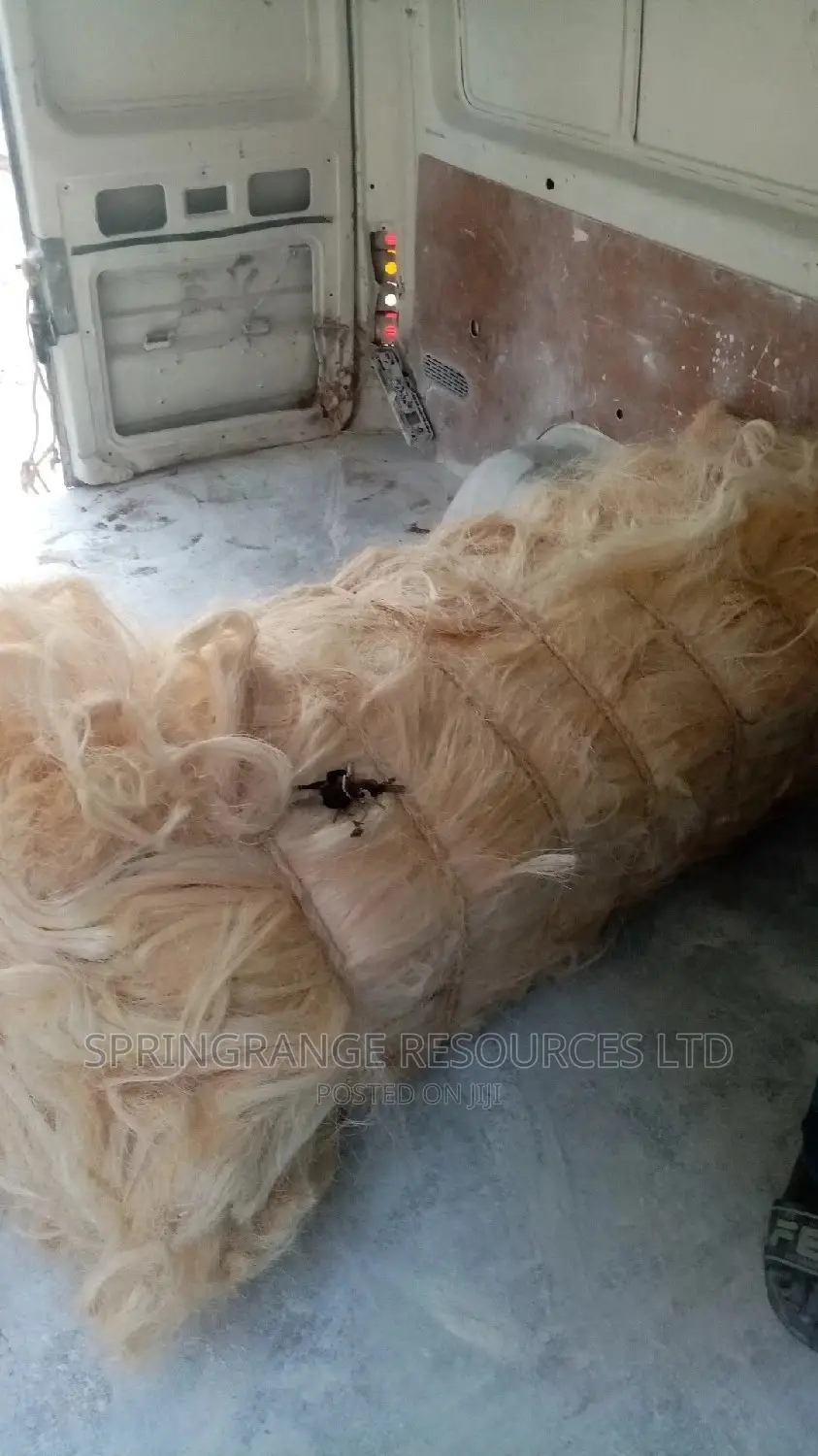 Professional POP Ceiling Installer