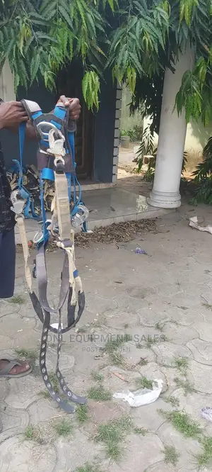 Safety Harness With Lanyard