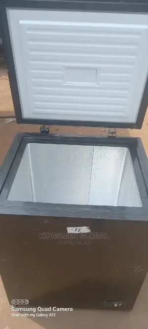 Medium Chest Freezer for Frozen Food