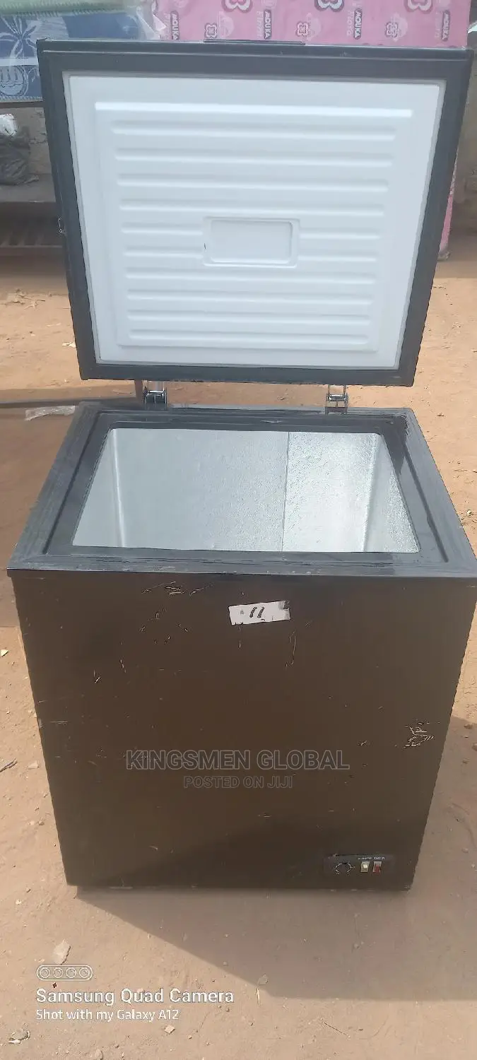 Medium Chest Freezer for Frozen Food