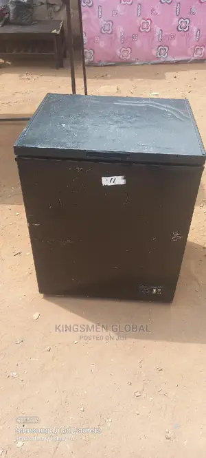 Medium Chest Freezer for Frozen Food