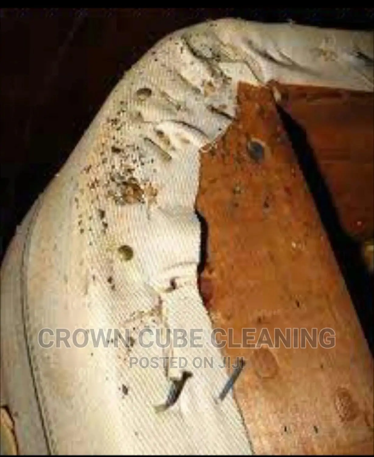 Professional Fumigation Services