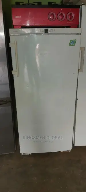 Siemens Standing Freezer