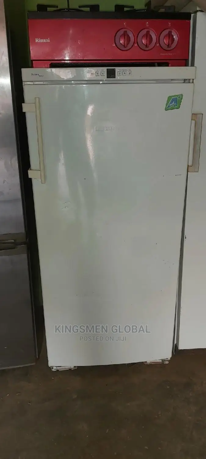 Siemens Standing Freezer
