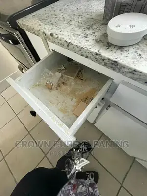 General House Cleaning Services