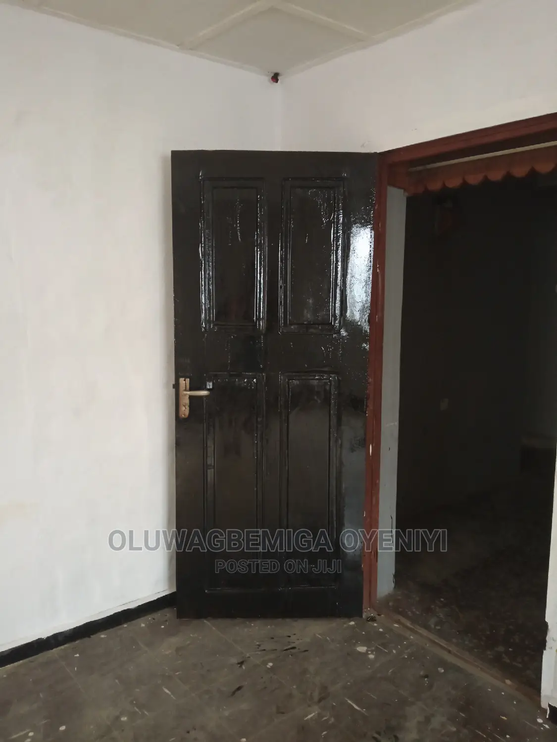 Professional House Painter