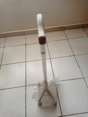 Walking Stick With Support