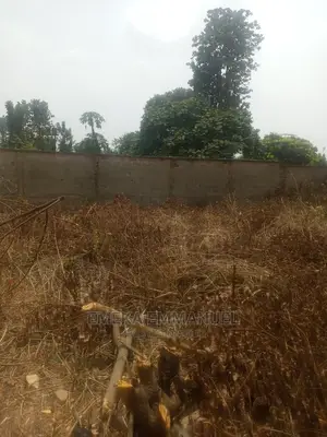 Emty Land to Lease at Zik Avenue Awka