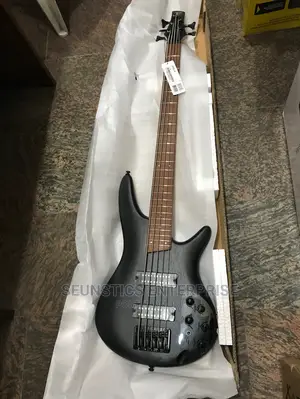 Ibanez SR305EB Five Strings Active Bass Guitar