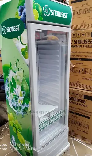 Snowsea Upright Cooler