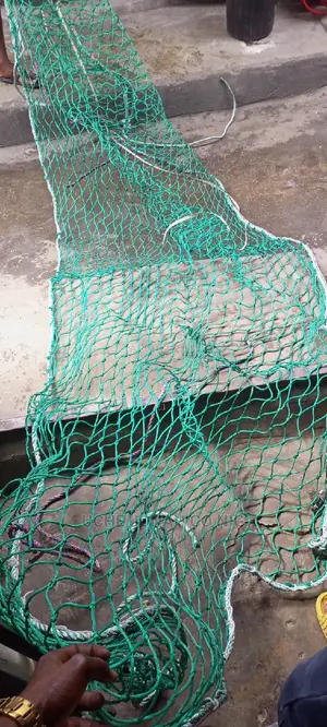 Scrambled Net 2.5mtrsx5mtrs