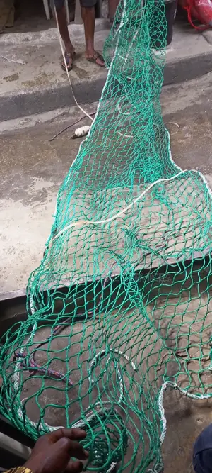 Scrambled Net 2.5mtrsx5mtrs