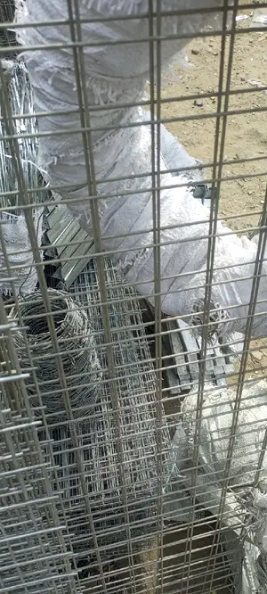 Mesh Wire; Galvanized