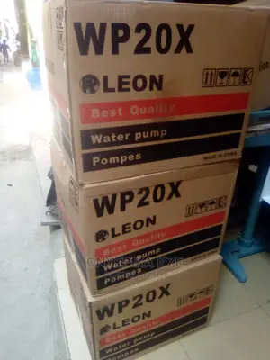 Wp 20x Water Pump