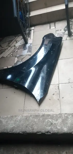 Mercedes Benz ML 350 W164 Fender.
