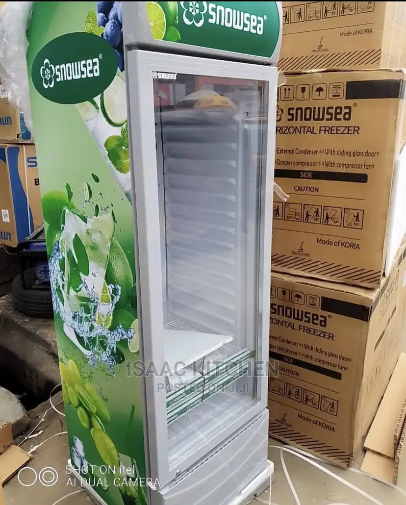 Snowsea Display Chiller