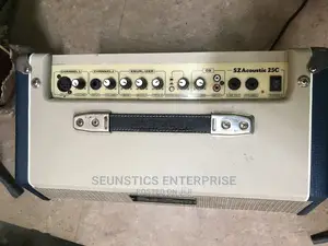 Subzero SZ Acoustic 25C Combo/Amplifier