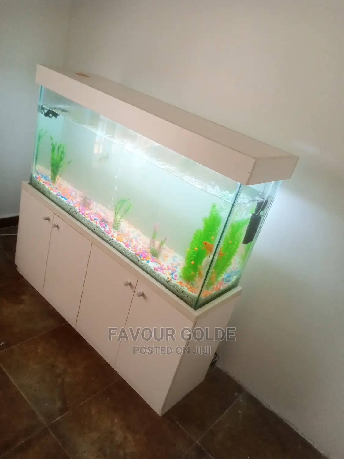 Beauty Aquarium