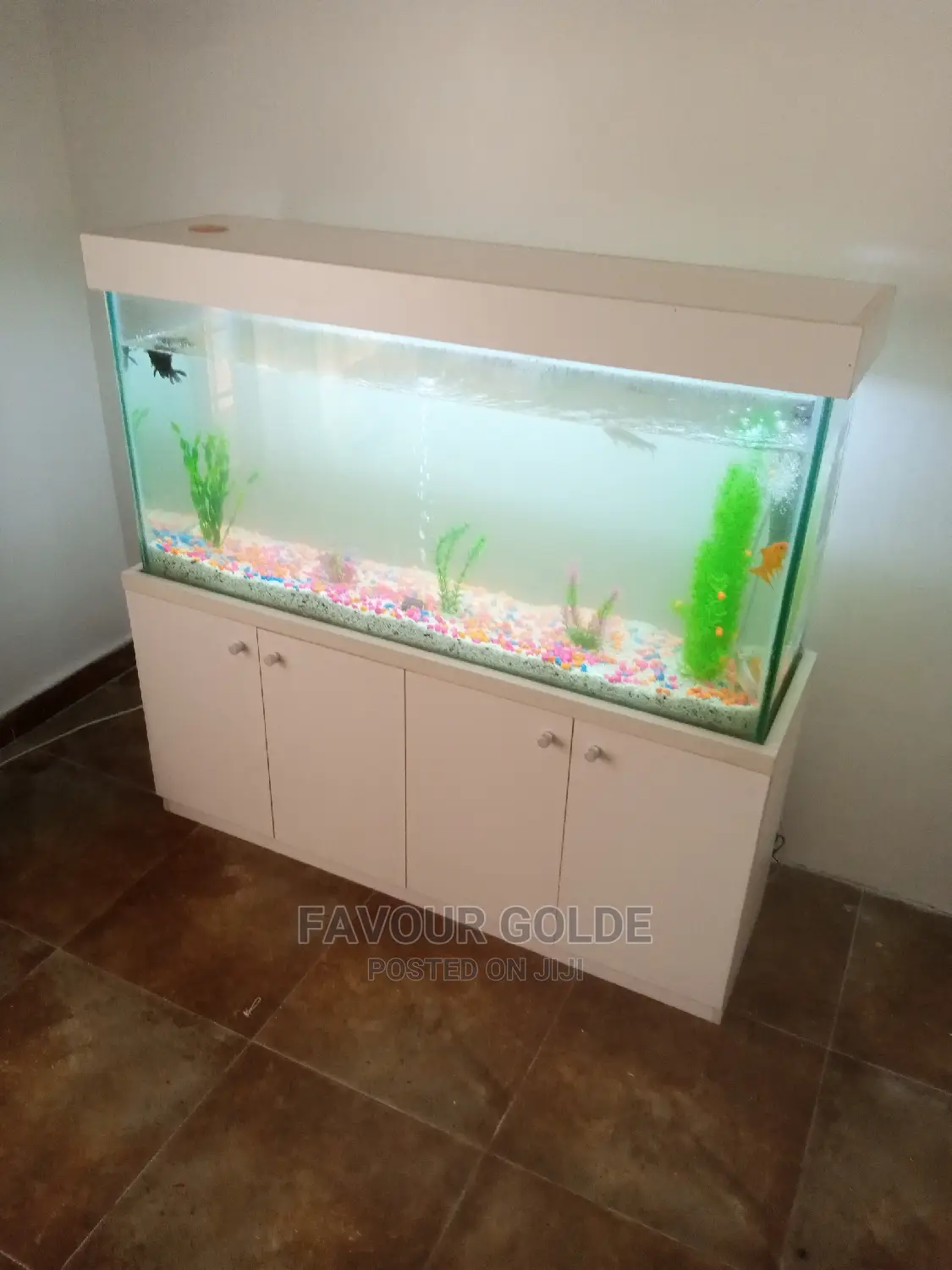 Beauty Aquarium