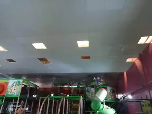 Profile Suspended Ceiling