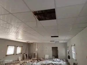 Drop Ceilings (Suspended )