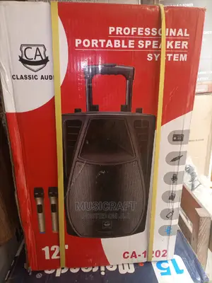 Classic Audio 12" PA System