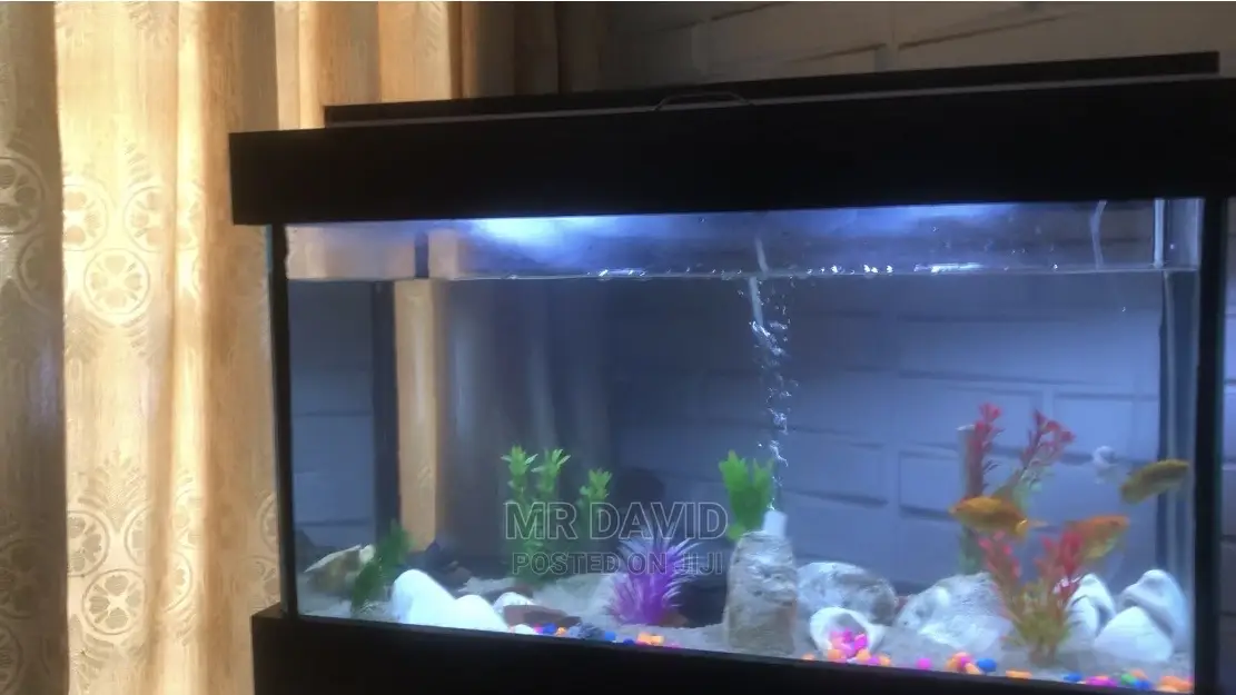 Well Furnished Aqaurium