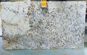 Indian Granite Slab for Counter Top