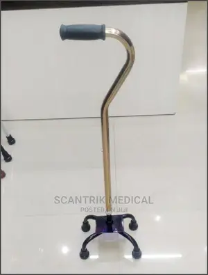 Quadripod Walking / Mobility Aids