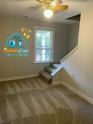 Couch and Rug Cleaning