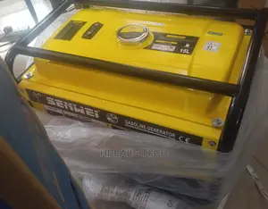 Senwei Manual 3.8kva Generator