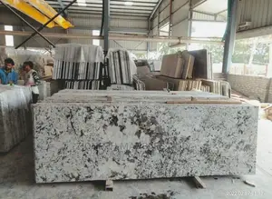 Indian and Italian Marbles and Granite Slab