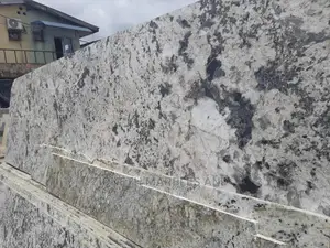 Indian White Granite Slab