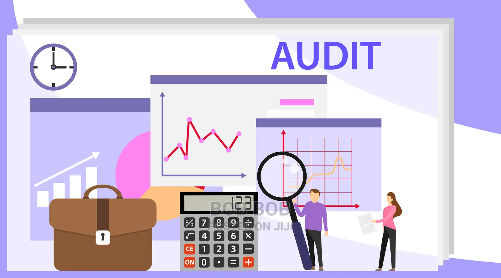 Mobile/Pos Developer/ Information Systems Audit