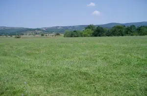 75,000 Plots of Land for Sale at Adani,Uzo Uwani,Enugu State, Nigeria.