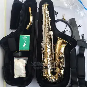 Hallmark Professional Alto Saxophone