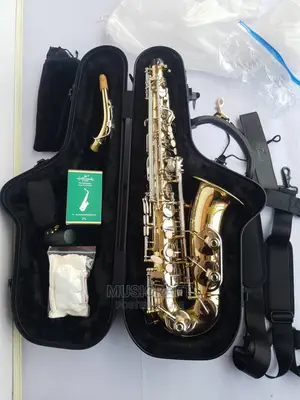 Hallmark Professional Alto Saxophone