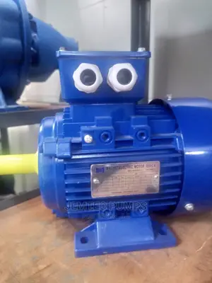 Magnet Electric Motor