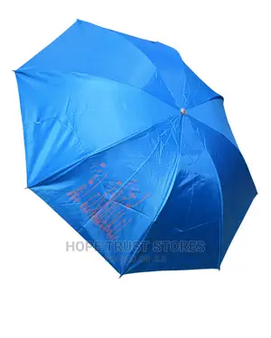 Pocket Umbrella