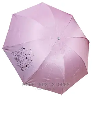 Pocket Umbrella