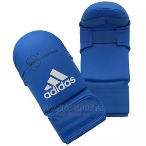 Karate Shine Guard and Glove
