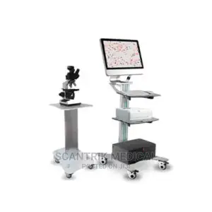Analysis Sperm Testing Computer Assisted Semen Analysis