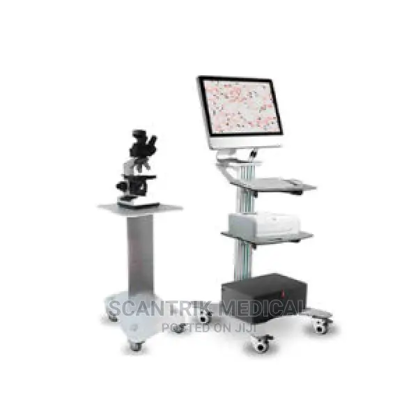 Analysis Sperm Testing Computer Assisted Semen Analysis