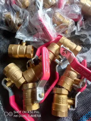 Brass Air Valve