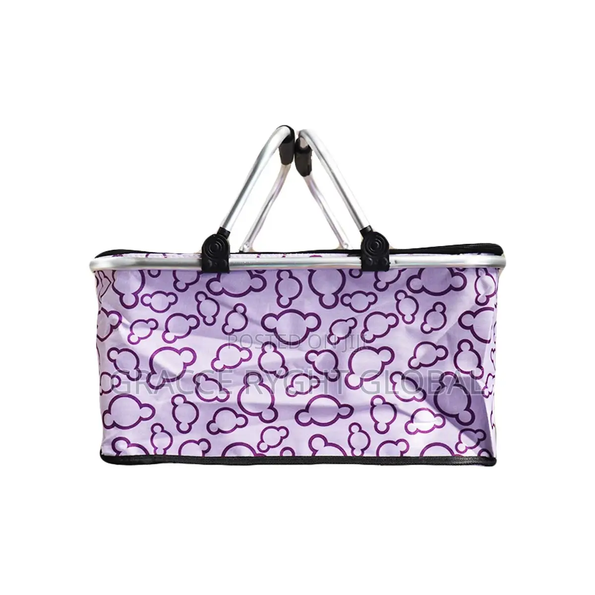 Collapsible Picnic Bag