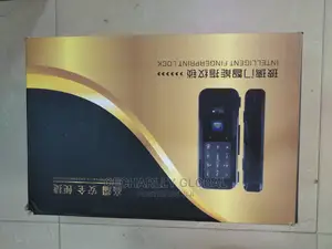 Intelligent Fingerprint Lock